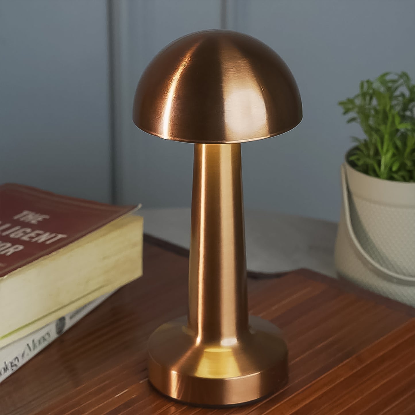 Led Lamp With Touch Control Decorative Desk Lamp Portable Metal Led Table Lamp